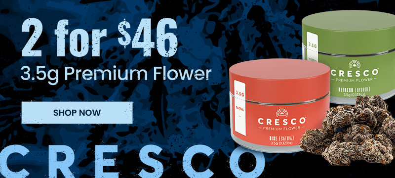 CRES24010_Green4all_DigitalBanners_800x360